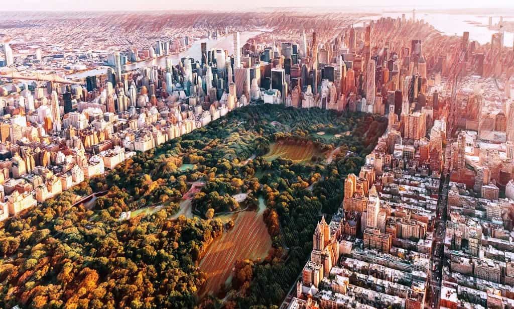 Bullshit Propoganda new york
